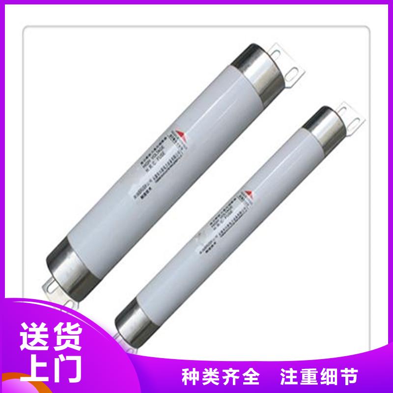 XRNP-24KV/1A限流熔断器