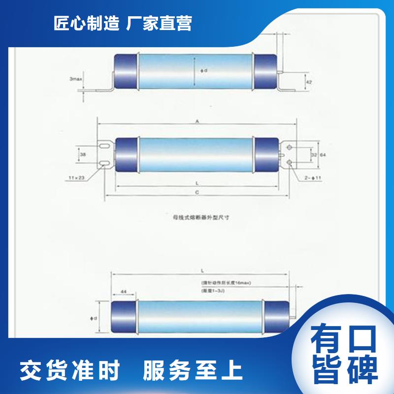 RXWO-40.5/3A限流熔断管樊高