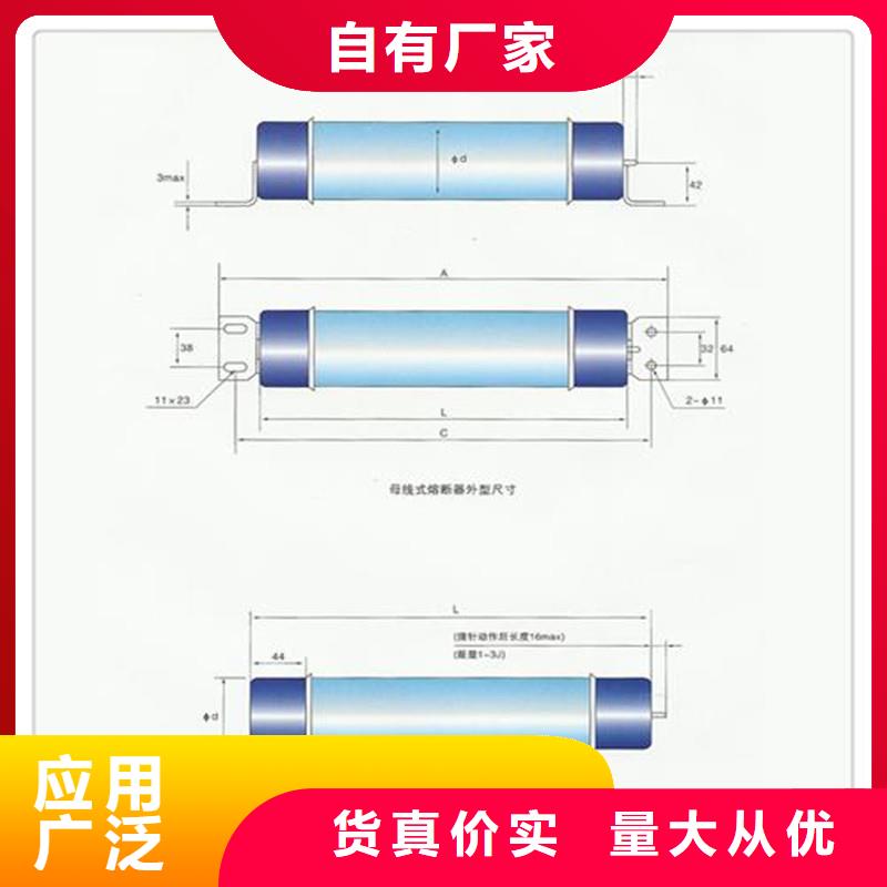 XRNP-10kv/0.5A高压PT熔管