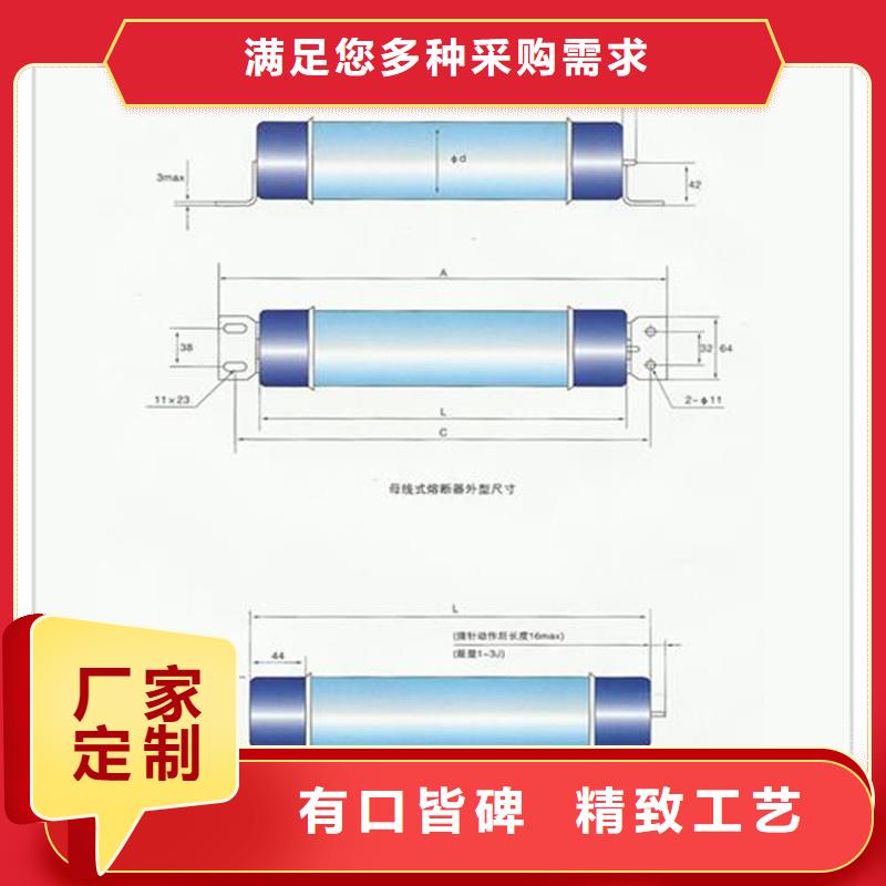 限流熔断器_绝缘子可定制