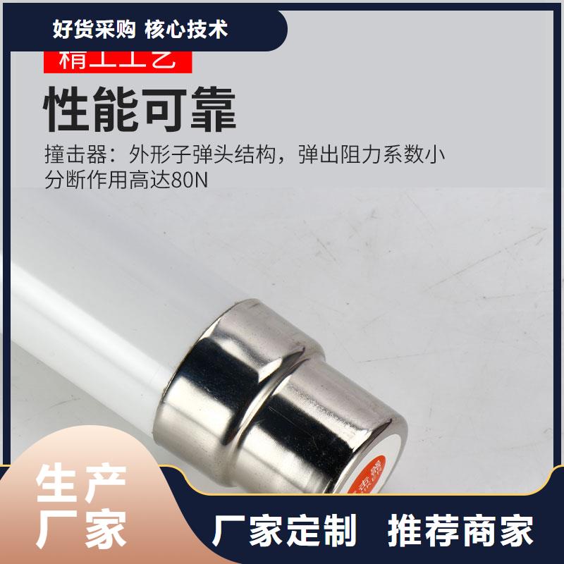 RN3-6/40单管高压熔断器购买【樊高】