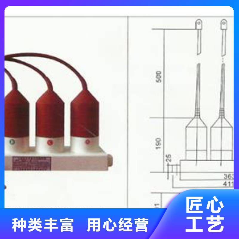 JS-7避雷器计数器