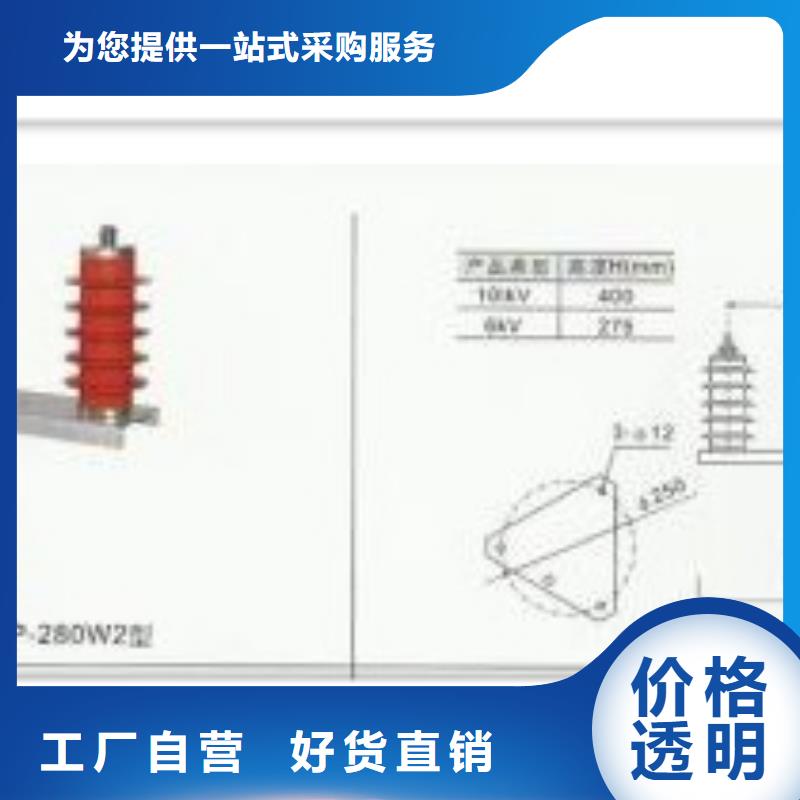 JSY-10避雷器计数器