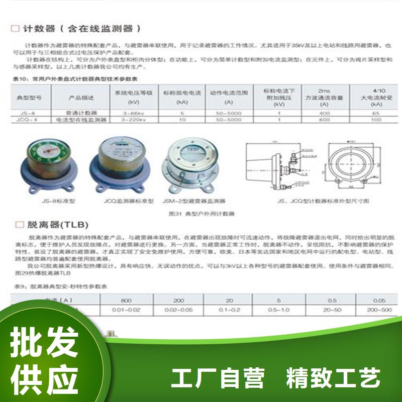 JCQ3A-10/1200在线监测仪