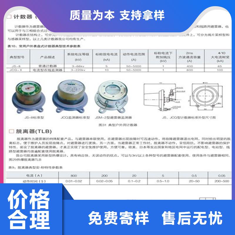 JSY-8L放电计数器