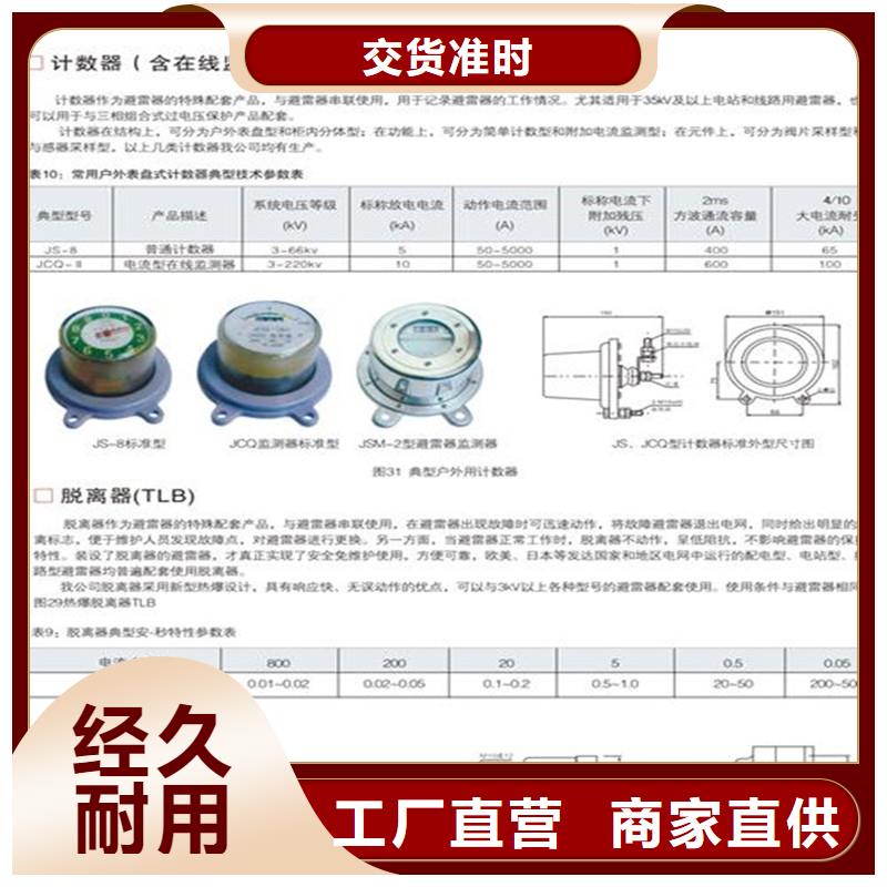 JSY-10放电计数器