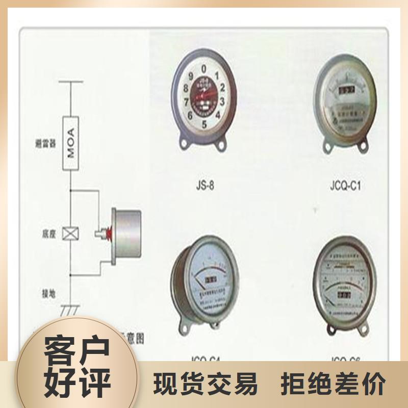 JCQ10-220W避雷器放电计数器厂家