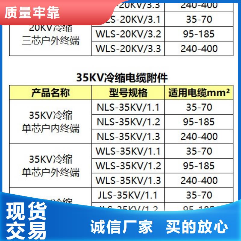 WLS-15/3.1三芯户外终端