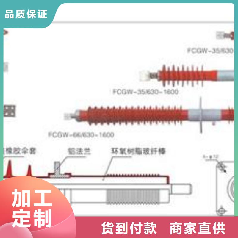 CWW-40.5/2000陶瓷穿墙套管樊高