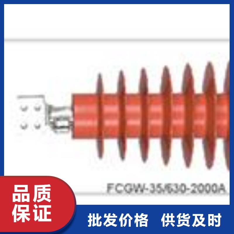 FCGW-35/4000高压穿墙套管