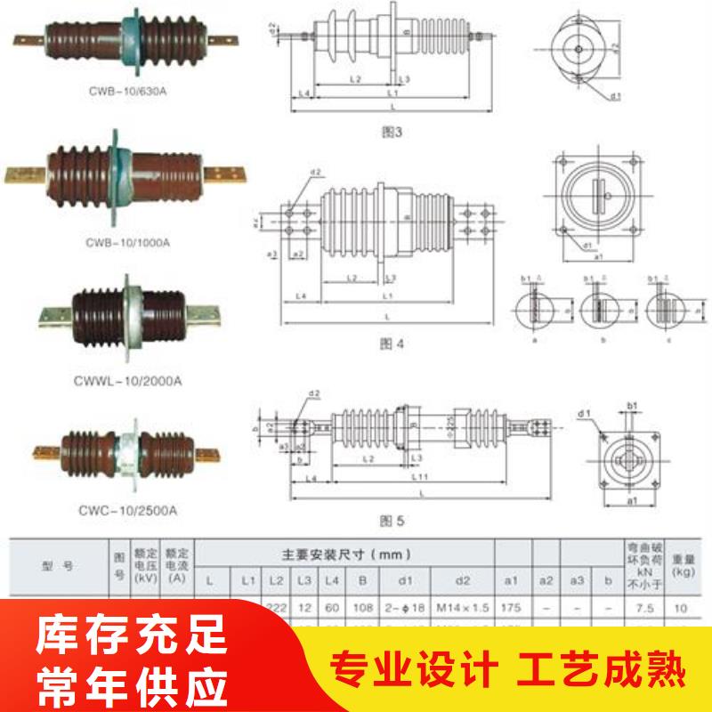 FCRG3-40.5/3150复合套管樊高