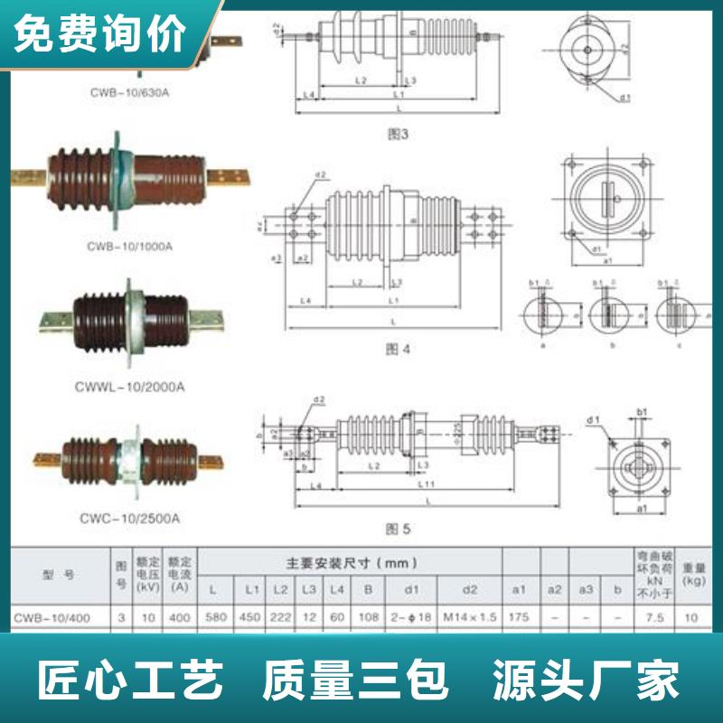 FCRG3-40.5/3150复合套管