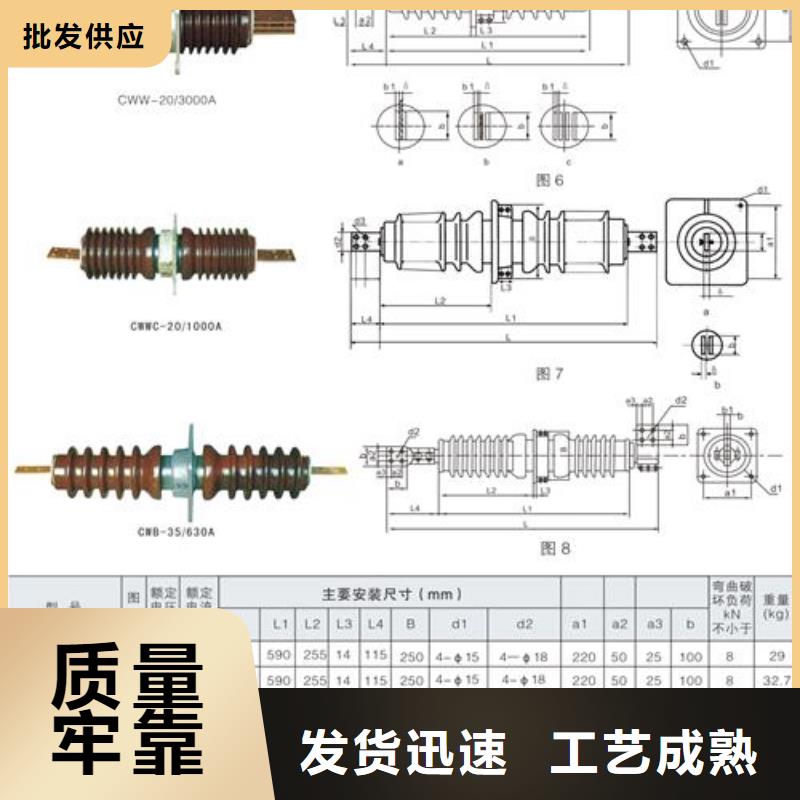 CWC-20/1000陶瓷套管