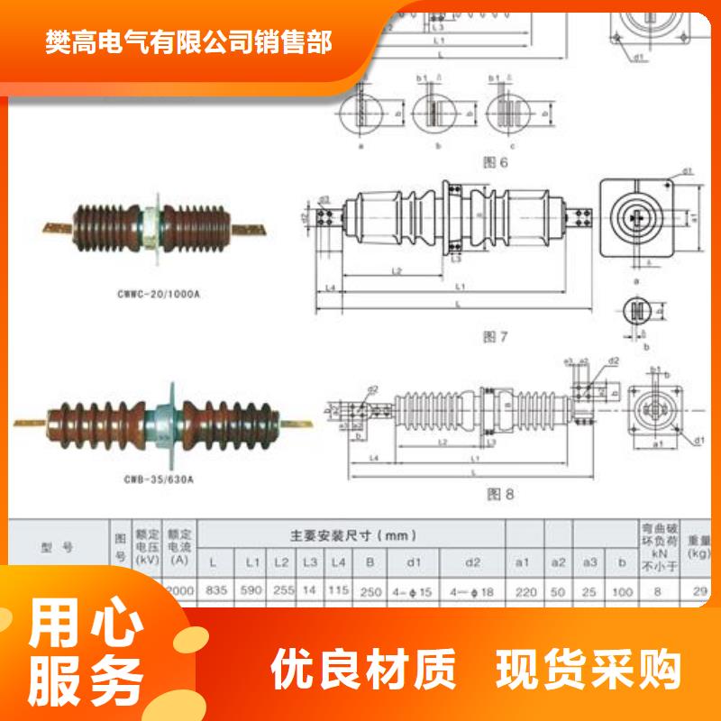 CWWB-10/630A-4高压穿墙套管樊高