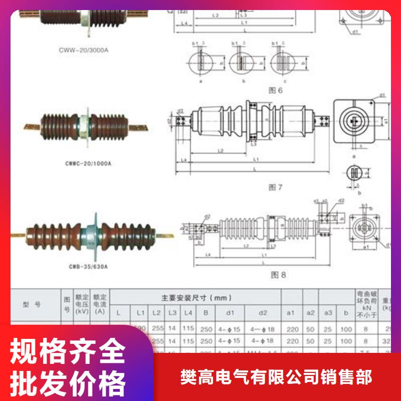 FCWW-12/2000A高压穿墙套管