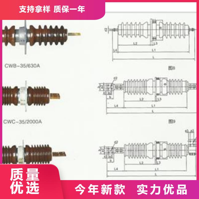 CWWL-10/400A陶瓷穿墙套管