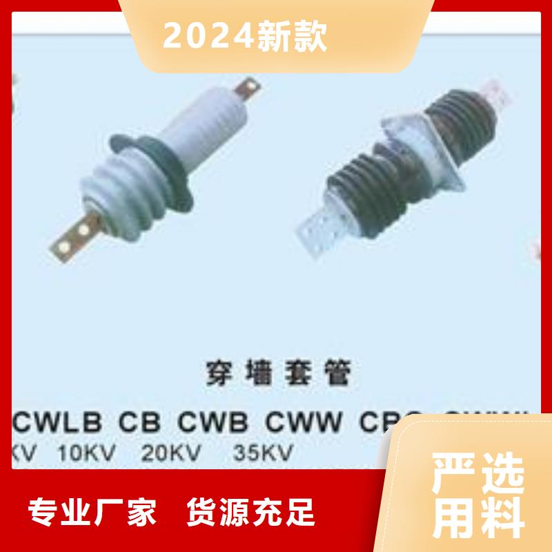 FCGW-10/3150A高压硅胶穿墙套管