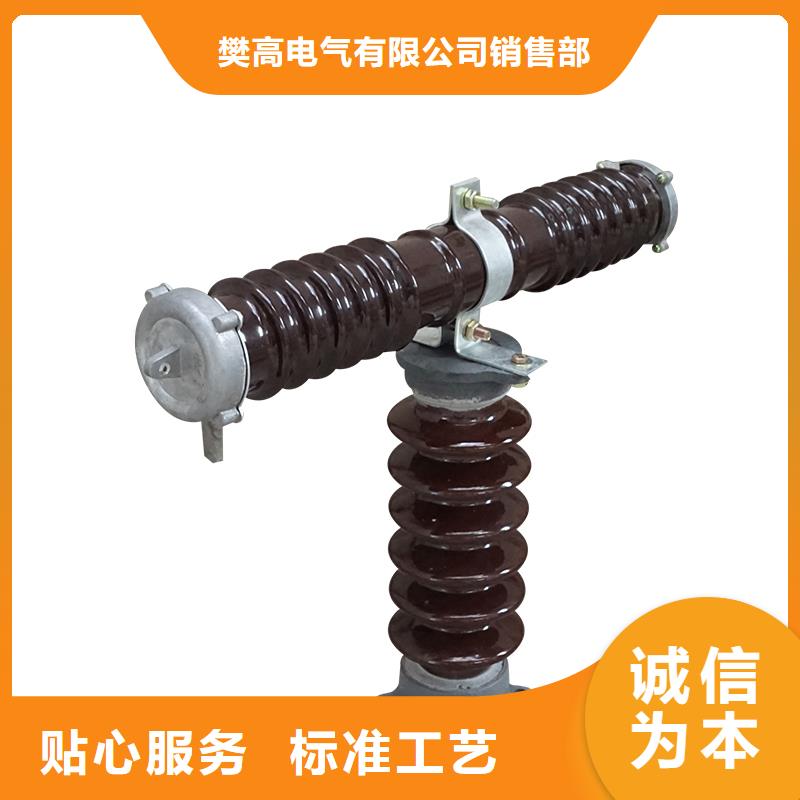 PRWG1-10F/100A跌落式熔断器