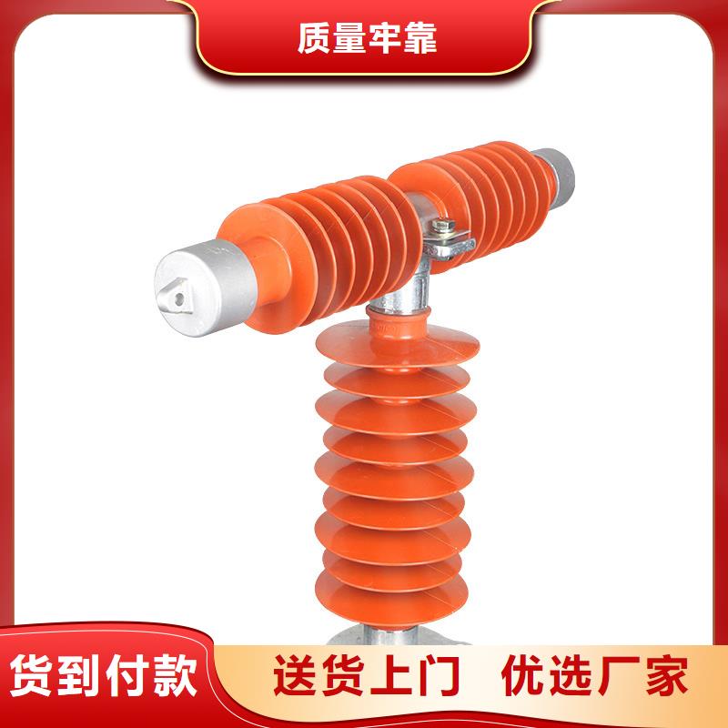 PRWG1-10F/100A跌落式熔断器