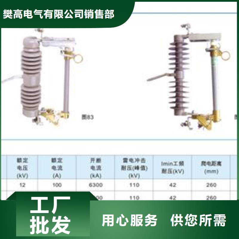 RW12-15/100跌落保险樊高