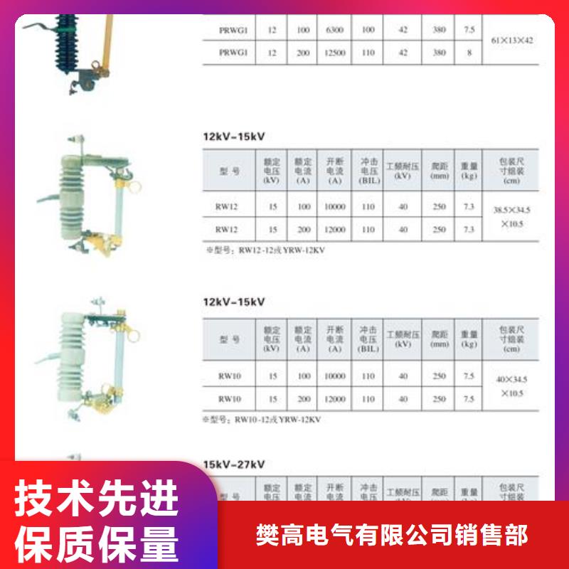 RW12-15/100跌落保险樊高