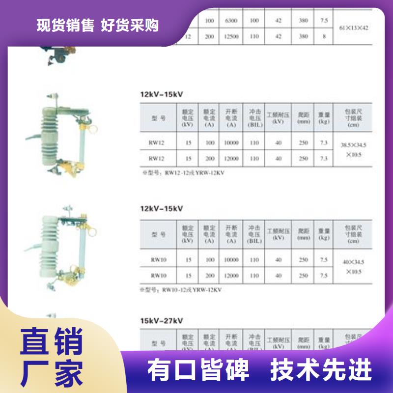 XRNM-3.6/125A熔管