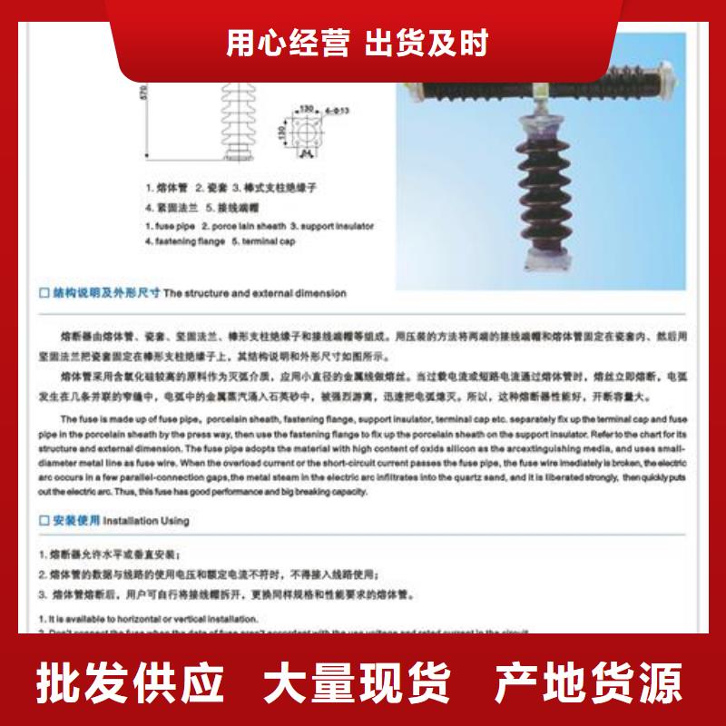 XRNP1-24KV/0.5A高压保险管