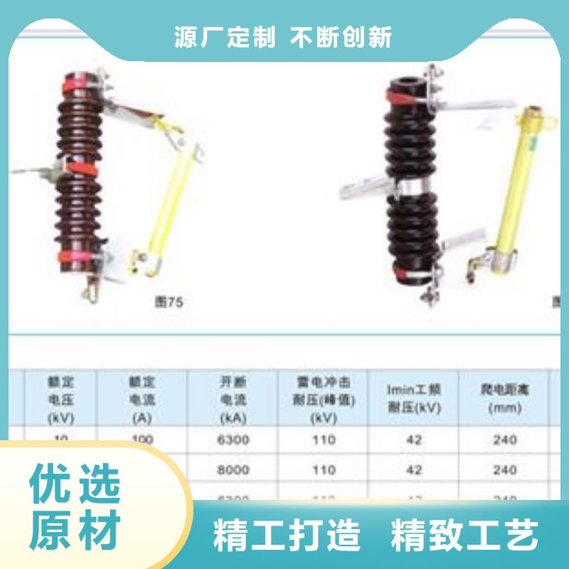 XRNP1-3.6/0.5A高压熔管价格