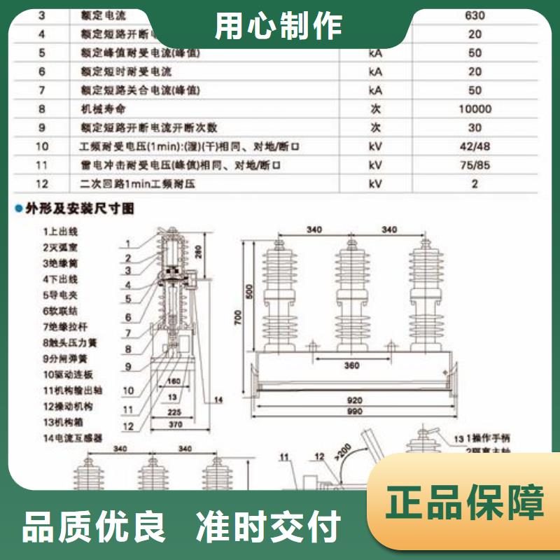 ZW43A-12/T630-20户外柱上断路器