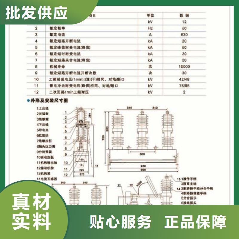 SN10-35Ⅲ/1250-40六氟化硫断路器