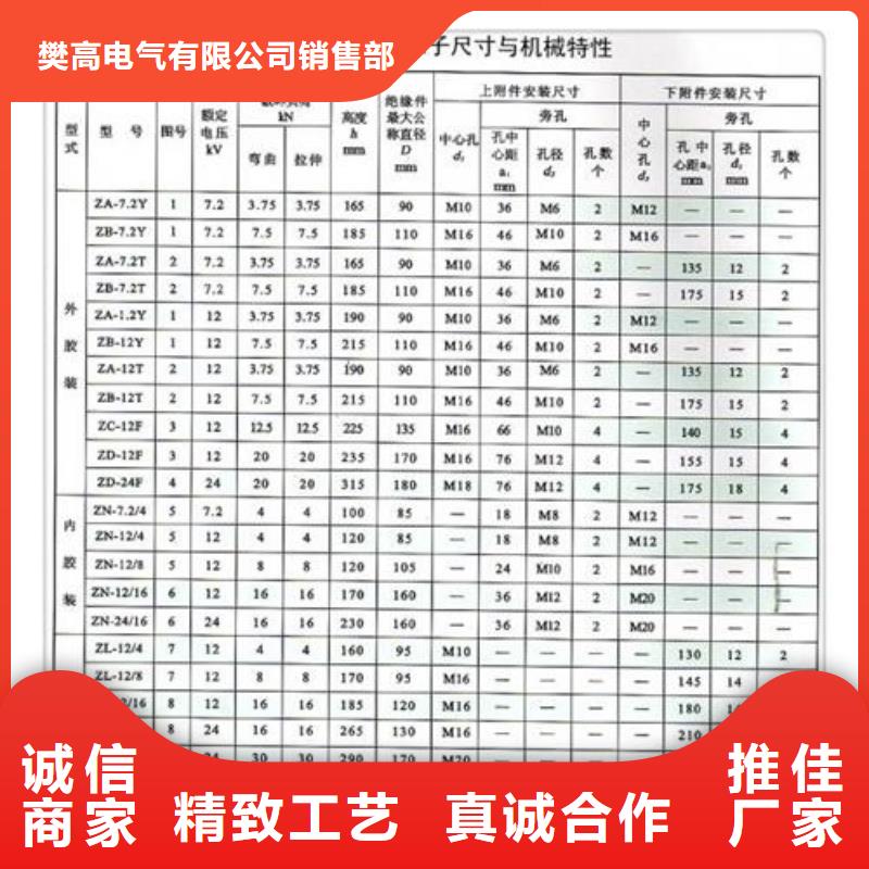 ZJ-10KV/85*145环氧树脂绝缘子