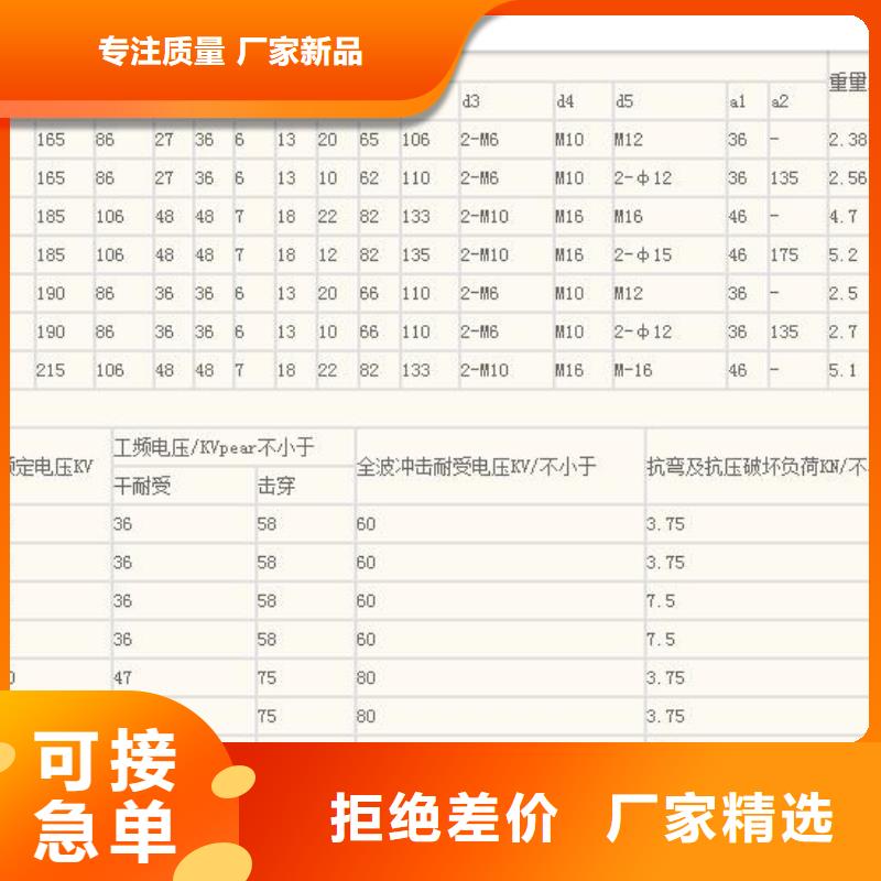 FZS-110/10高压硅胶绝缘子