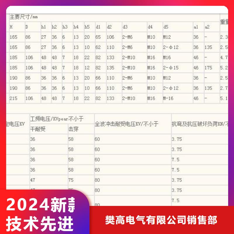 【绝缘子】_穿墙套管实力优品