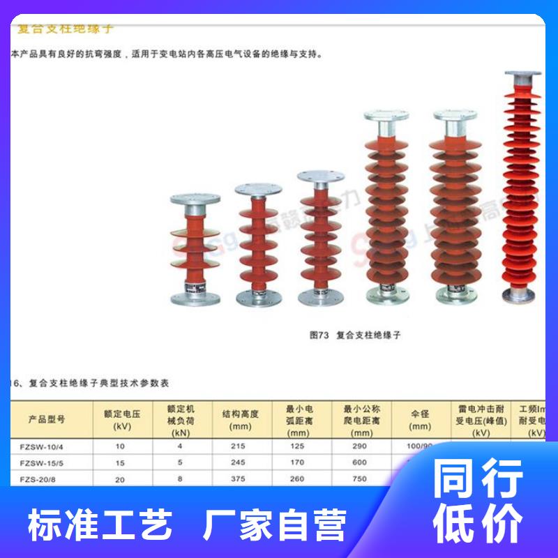 FZSW3-24/8高压复合支柱绝缘子