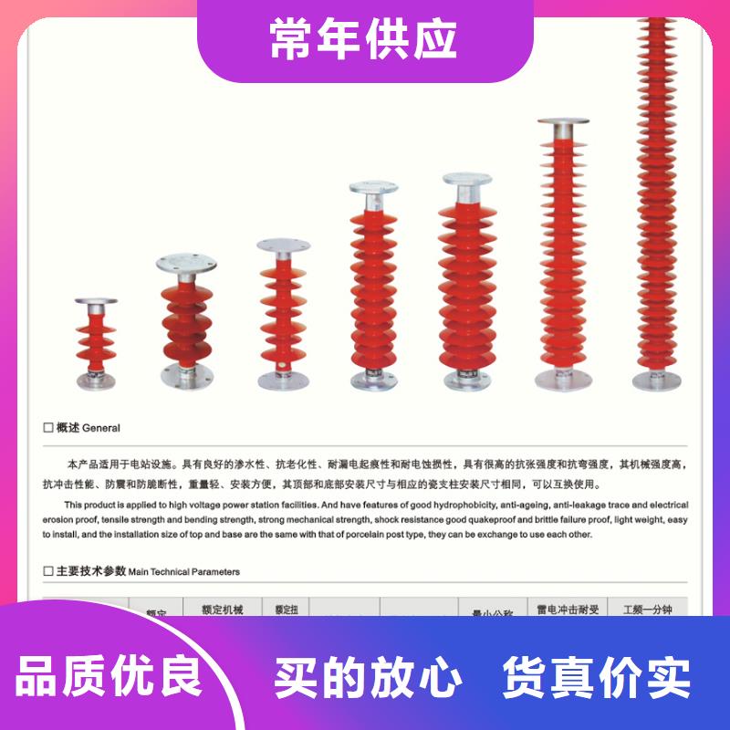 ZJ-10KV/75*130高压绝缘子