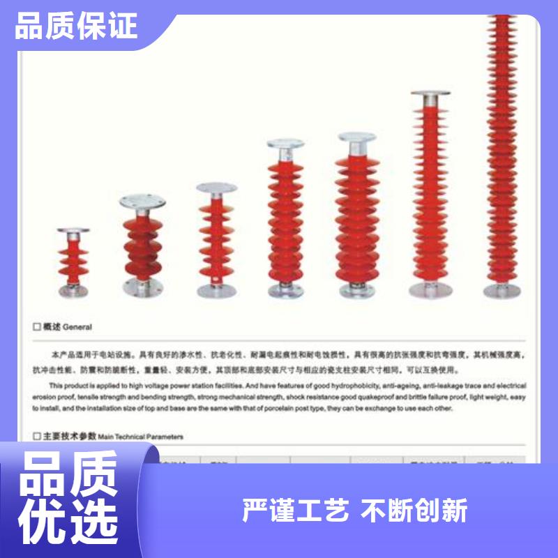 ZS-110/12.5陶瓷绝缘子樊高电气