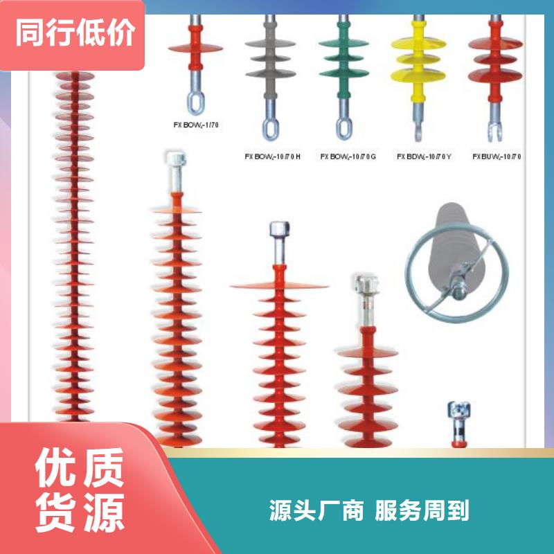 FZS-110/10高压硅胶绝缘子