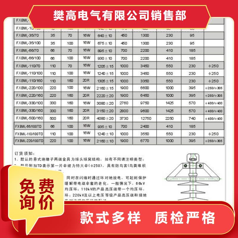 ZS-20/16高压绝缘子