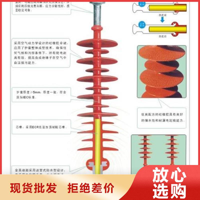 ZS-126/4高压绝缘子樊高电气