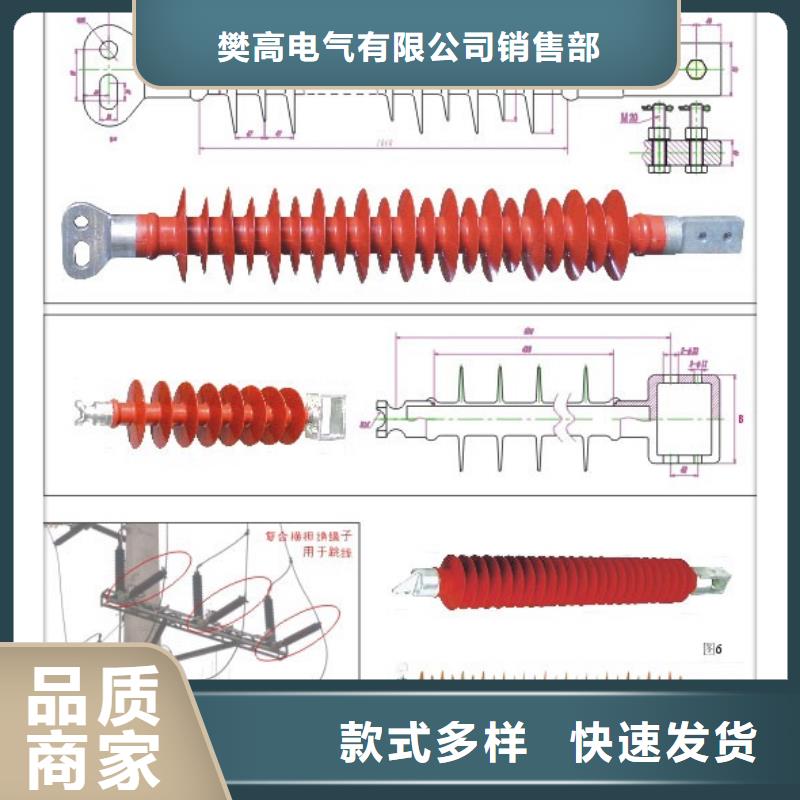 FZSW4-220/8复合绝缘子