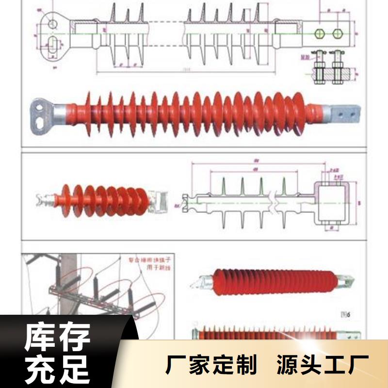 ZSW-110/6.12陶瓷支柱绝缘子