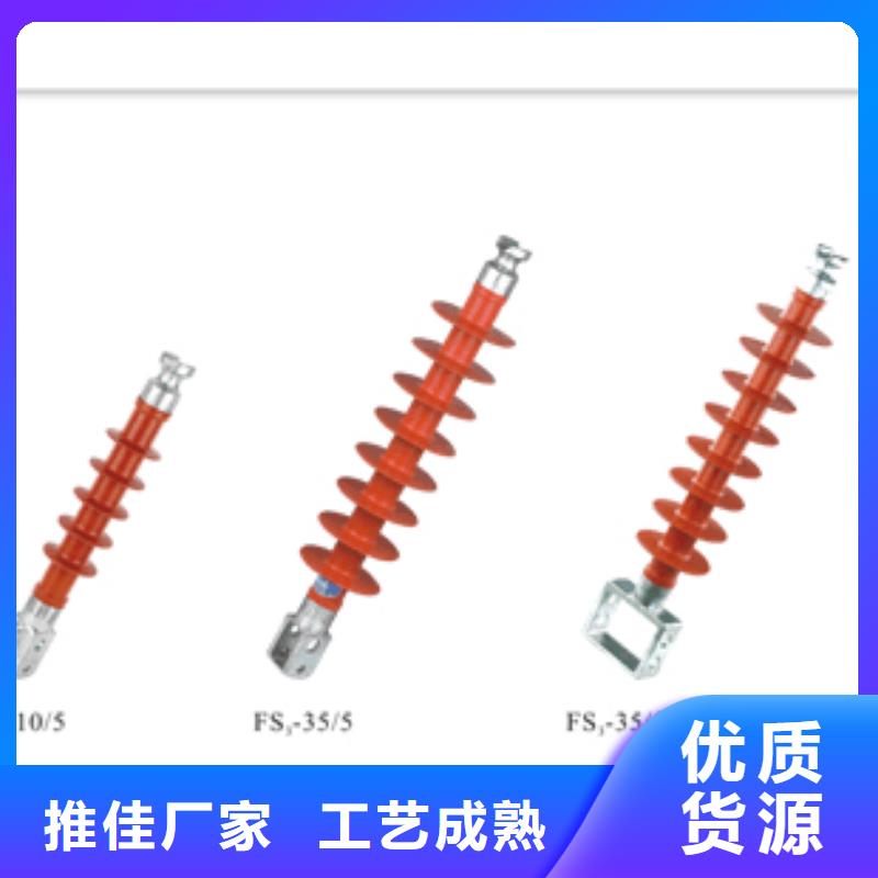 PQ1-10T/M高压绝缘子樊高电气