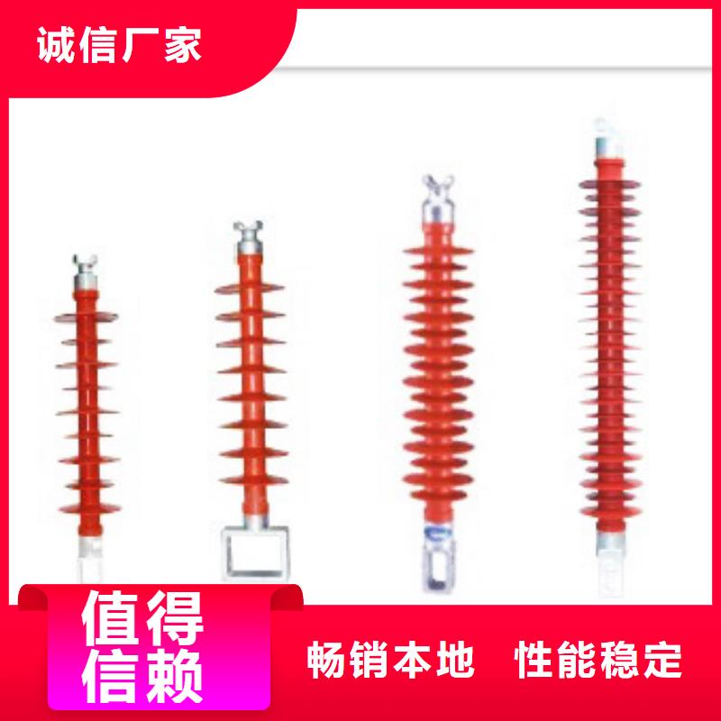 ZS-20/1000户外支柱绝缘子