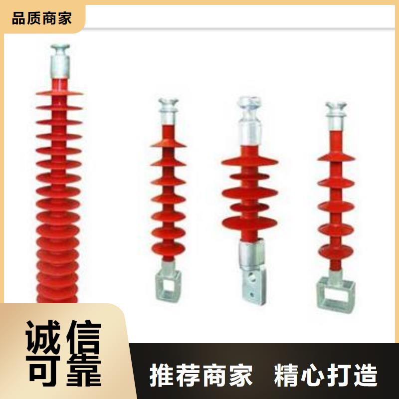 ZSW2-20/8陶瓷支柱绝缘子