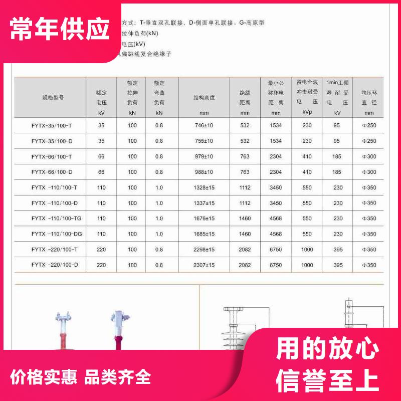 FXBW4-110/70棒型绝缘子