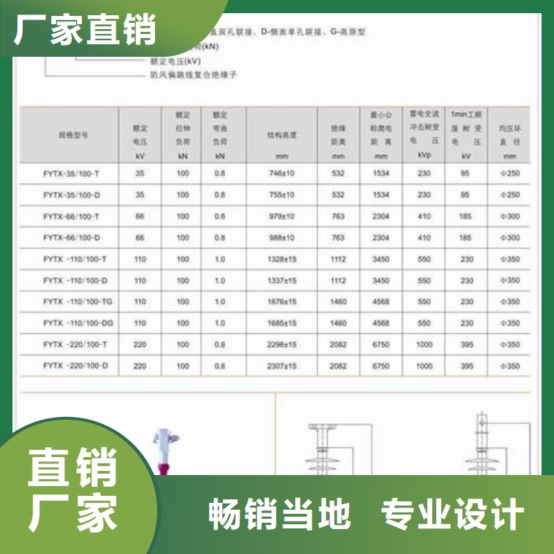 ZPD-10高压支柱绝缘子