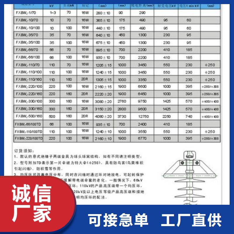 FZS-110/10高压硅胶绝缘子