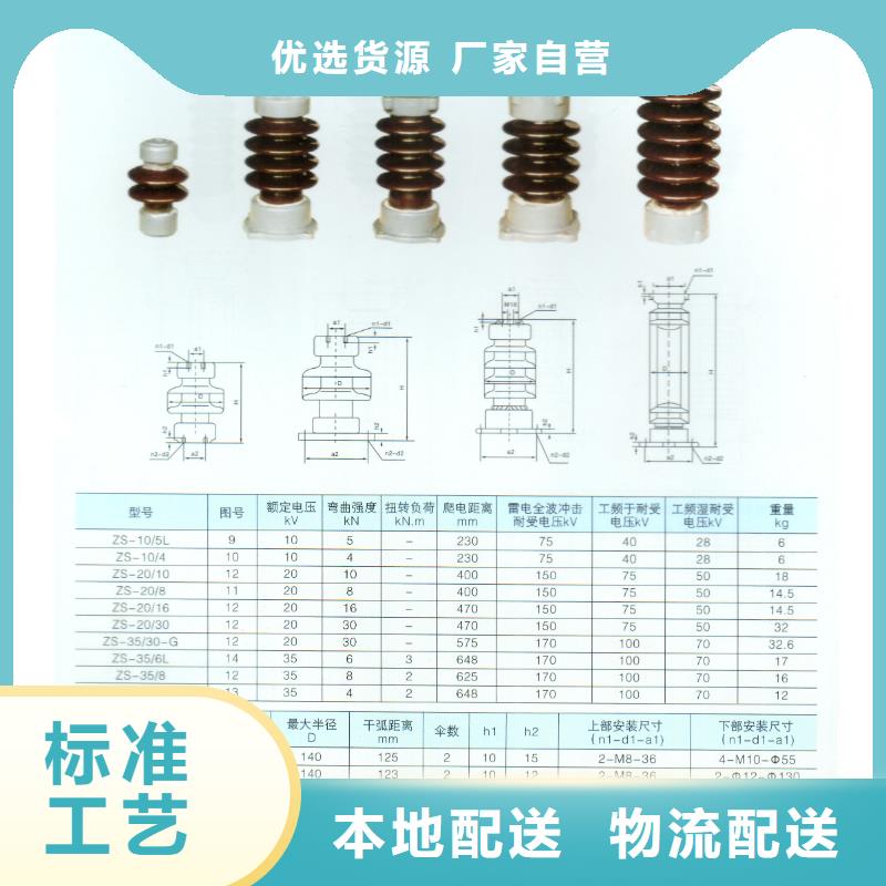 ZN3-35Q/145*380高压环氧树脂绝缘子