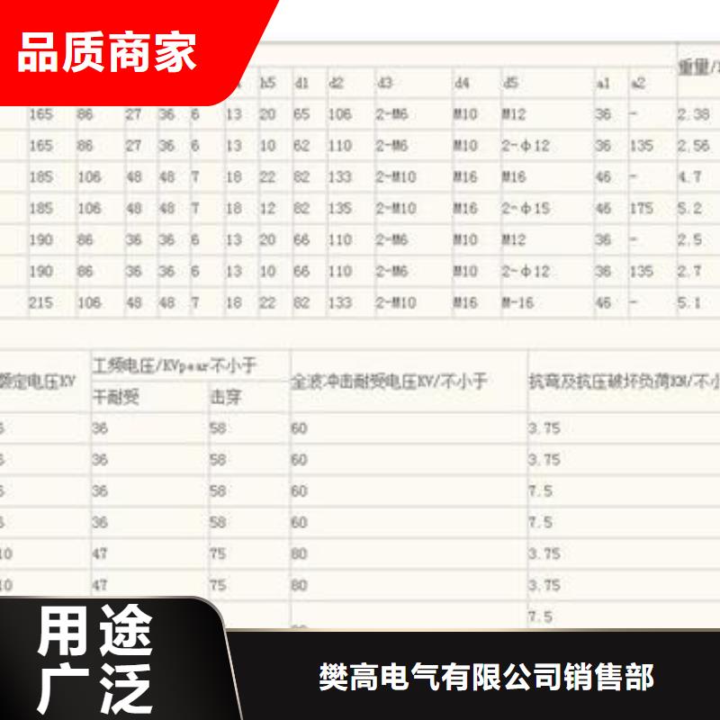 FZSW4-110/16硅胶绝缘子樊高