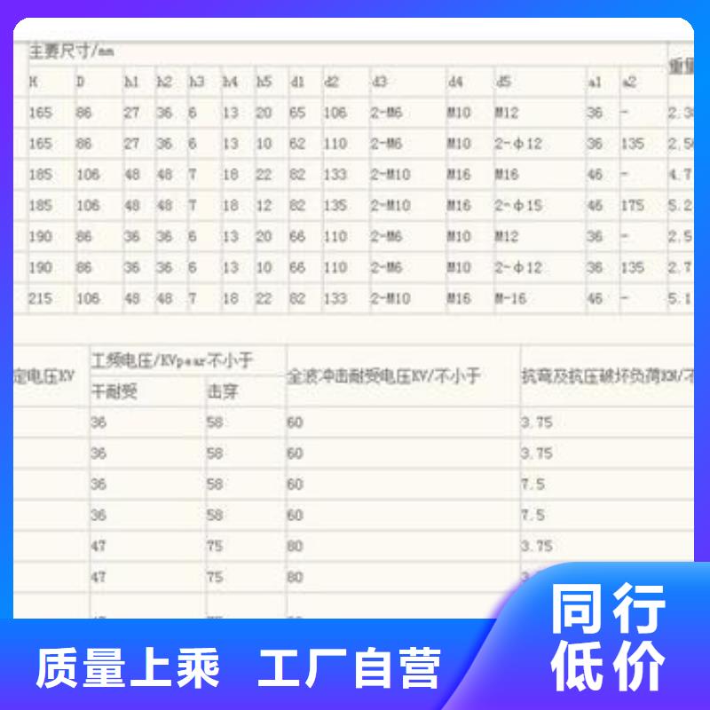 FZSW3-24/8高压复合支柱绝缘子